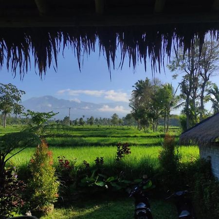 New Rinjani Homestay Tetebatu Bagian luar foto