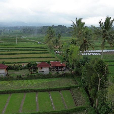 New Rinjani Homestay Tetebatu Bagian luar foto