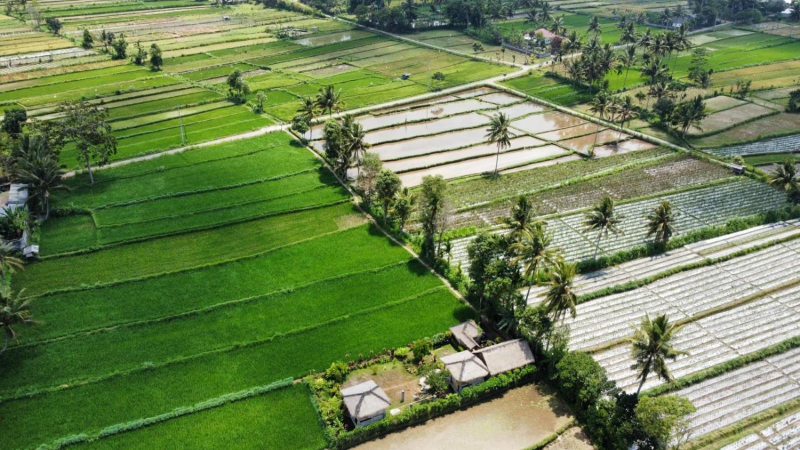 New Rinjani Homestay Tetebatu Ruang foto