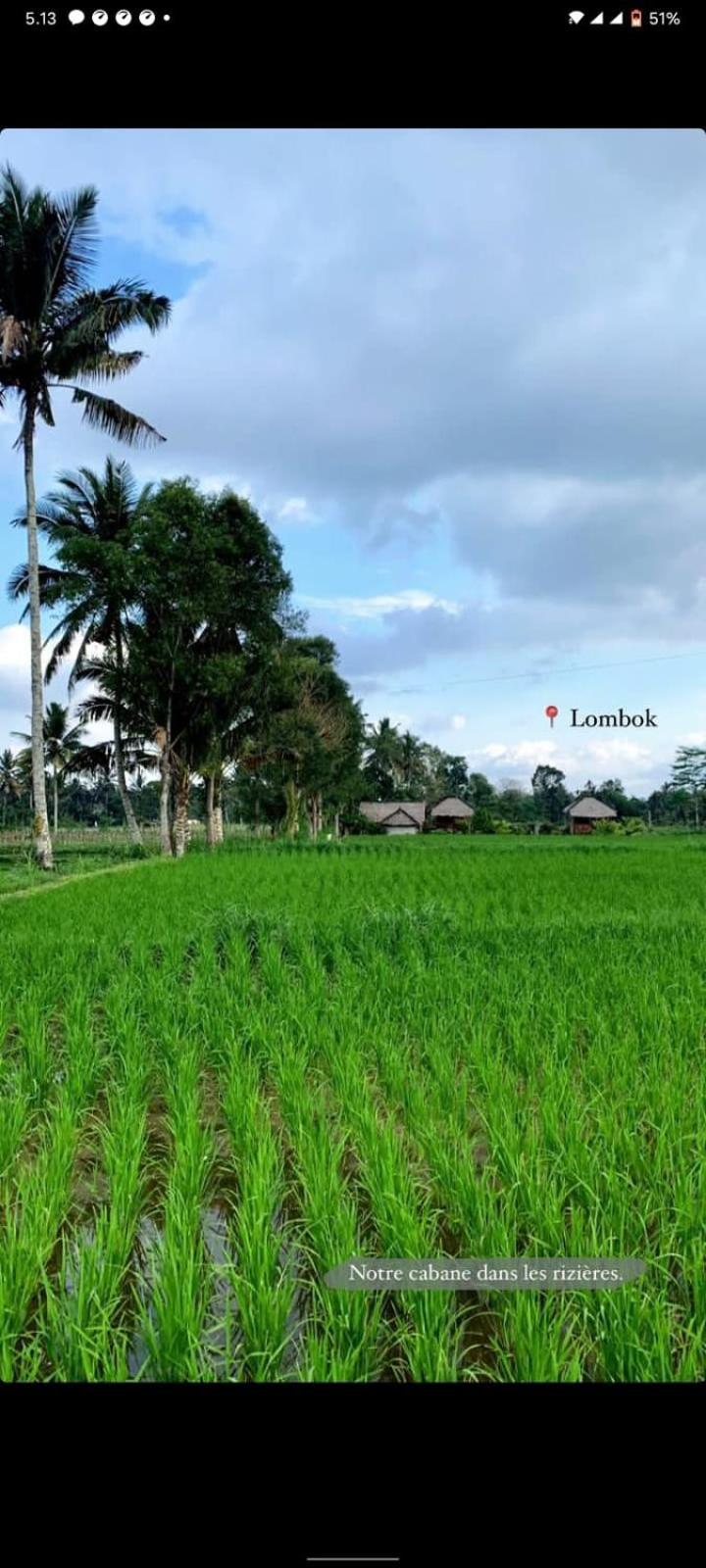 New Rinjani Homestay Tetebatu Ruang foto
