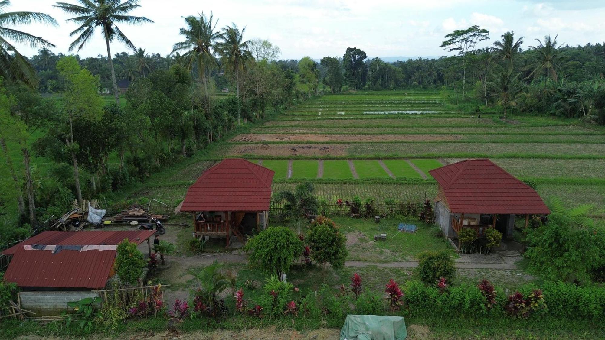 New Rinjani Homestay Tetebatu Bagian luar foto